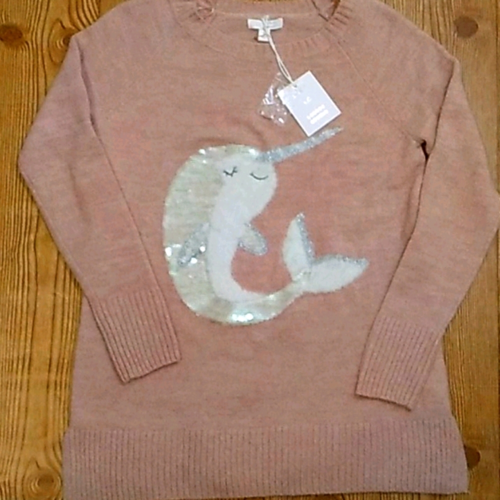 NWT Lauren Conrad blush tunic